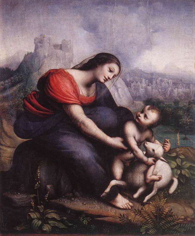 Cesare da Sesto Madonna and Child with the Lamb of God china oil painting image
